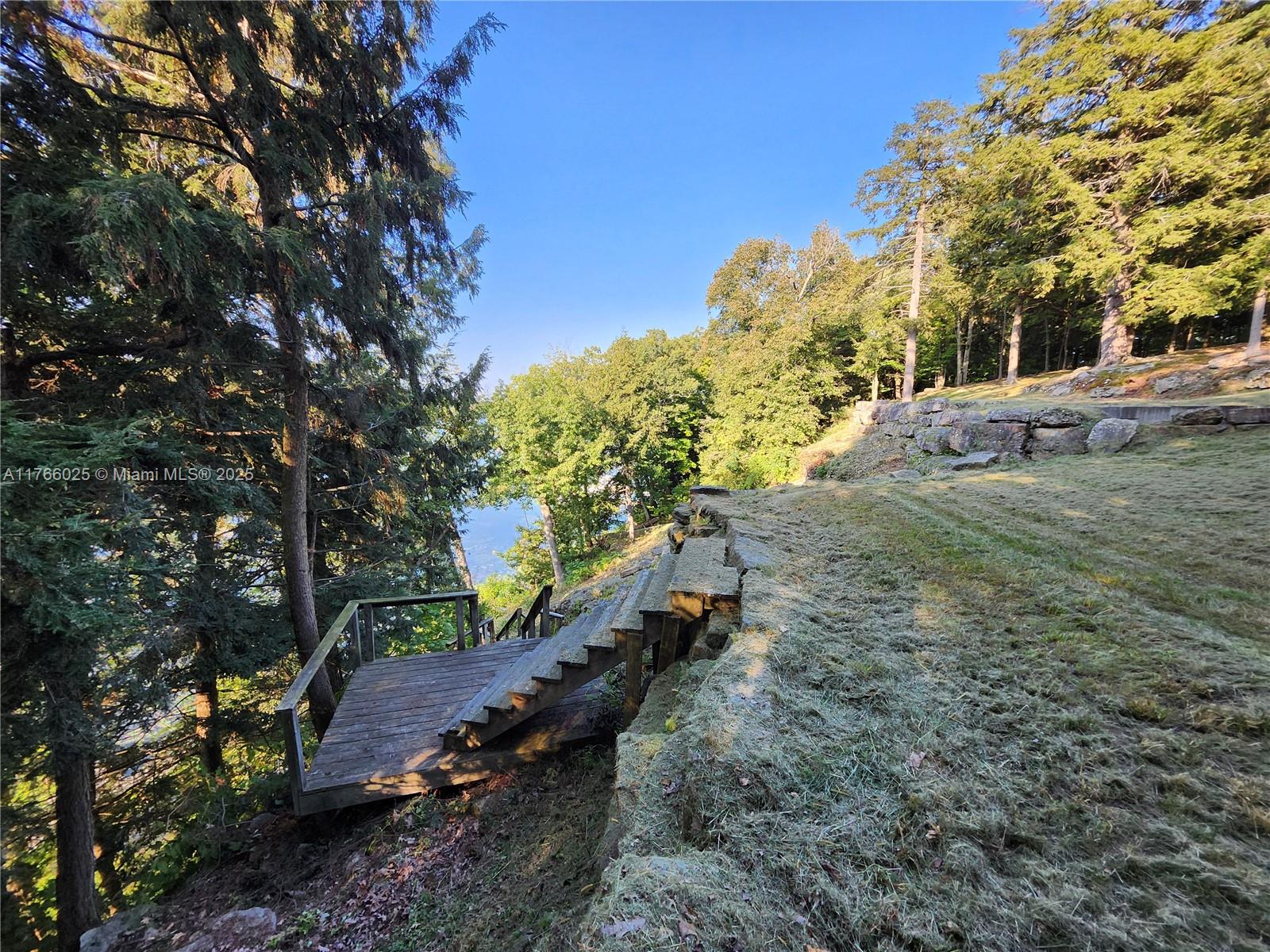 18435 Otter Point Road Wellesley Island, NY 13640 - Photo 9 of 27 a view of a yard with plants and trees
