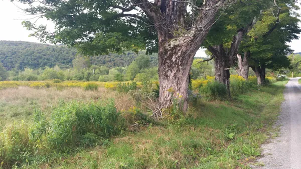 $79,900 | 0 Old County Lane, Readsboro, VT 05350