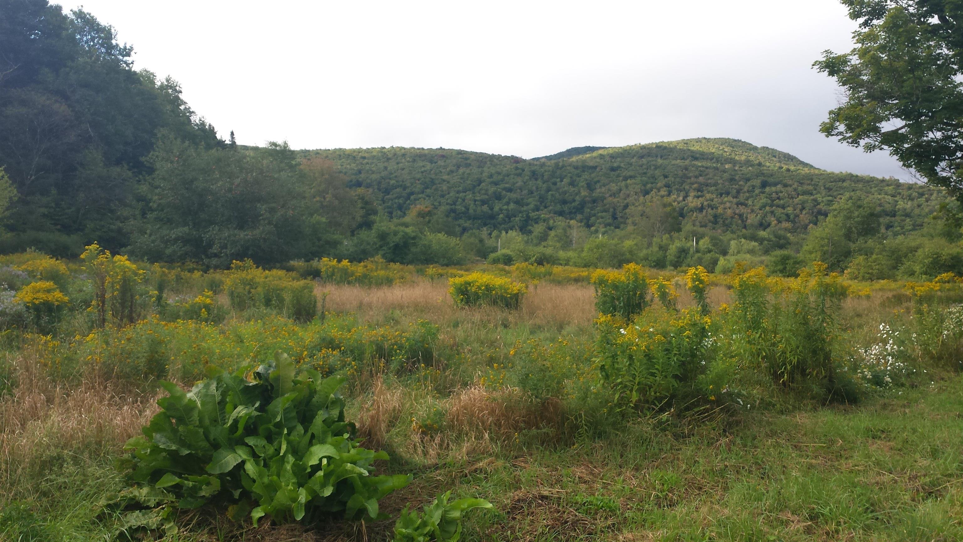 0 Old County Lane Readsboro, VT 05350 - Photo 2 of 3