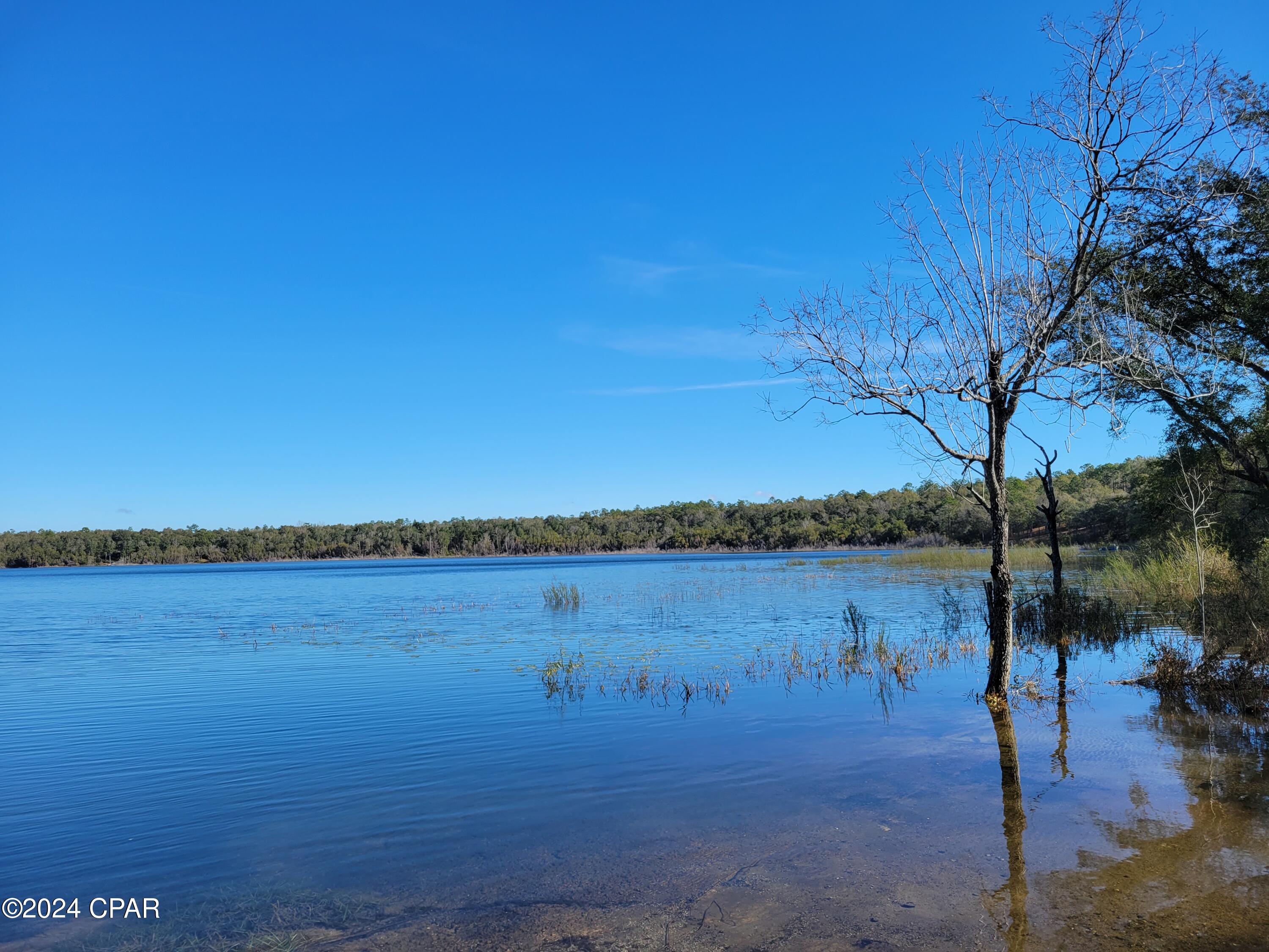 0 Preakness Place Chipley, FL 32428 - Photo 13 of 26