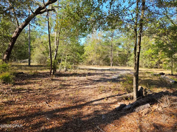$65,000 | 0 Preakness Place, Chipley, FL 32428
