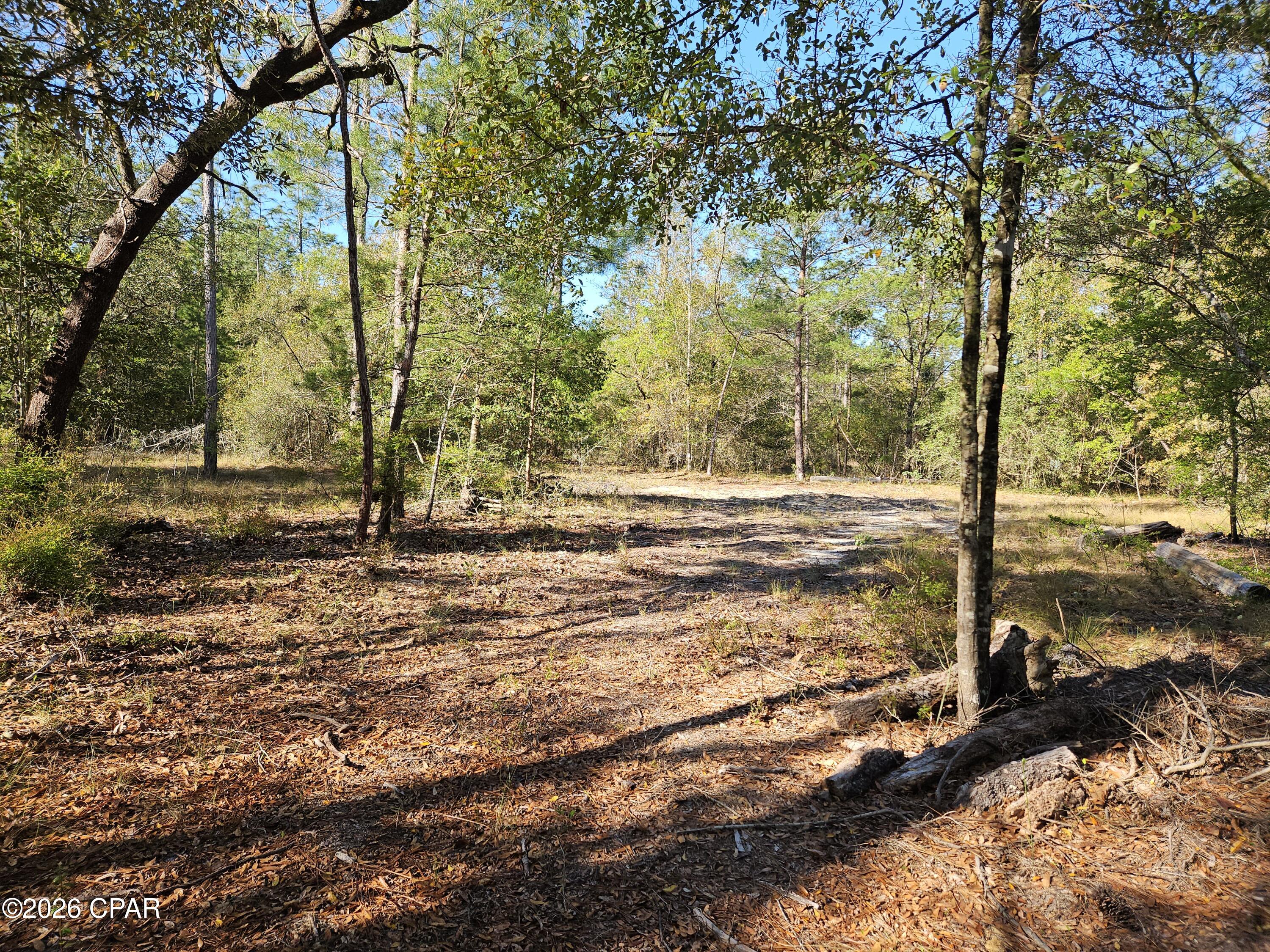 0 Preakness Place Chipley, FL 32428 - Photo 3 of 26