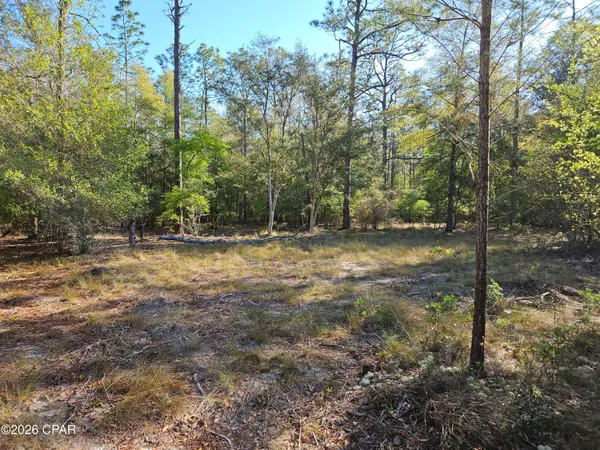 $65,000 | 0 Preakness Place, Chipley, FL 32428