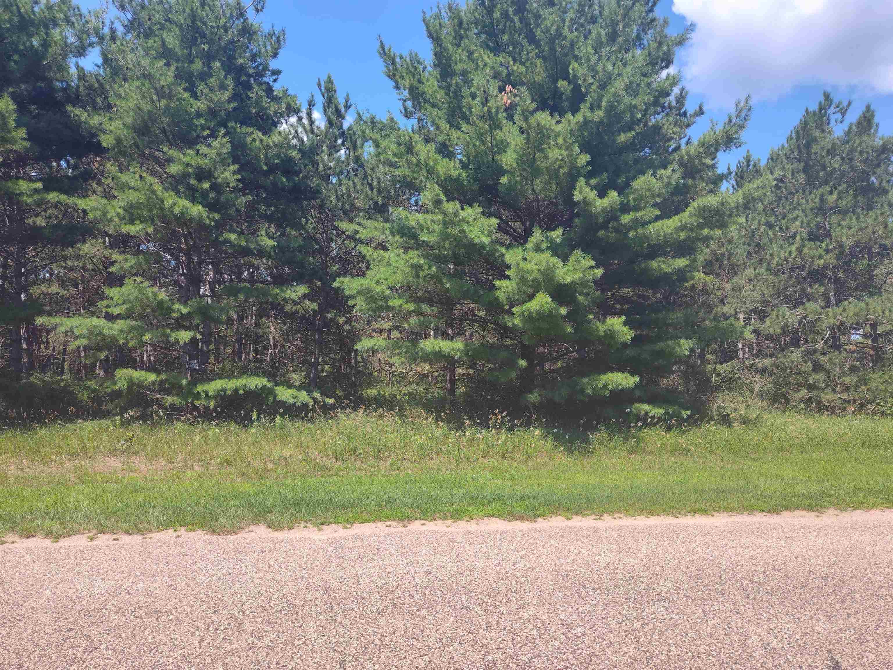 Lot 113 Beaver Arkdale, WI 54613 - Photo 13 of 27