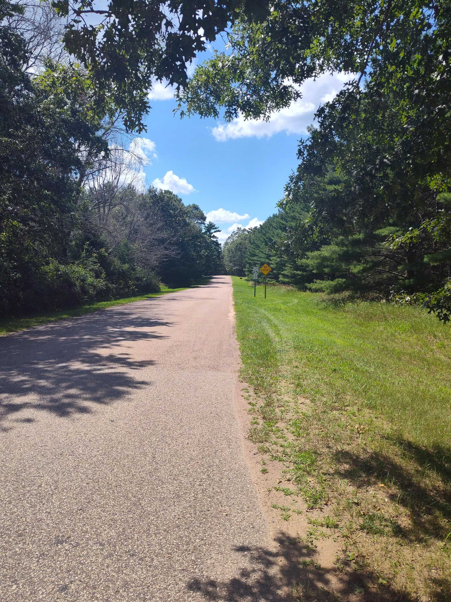 Lot 113 Beaver Arkdale, WI 54613 - Photo 3 of 27