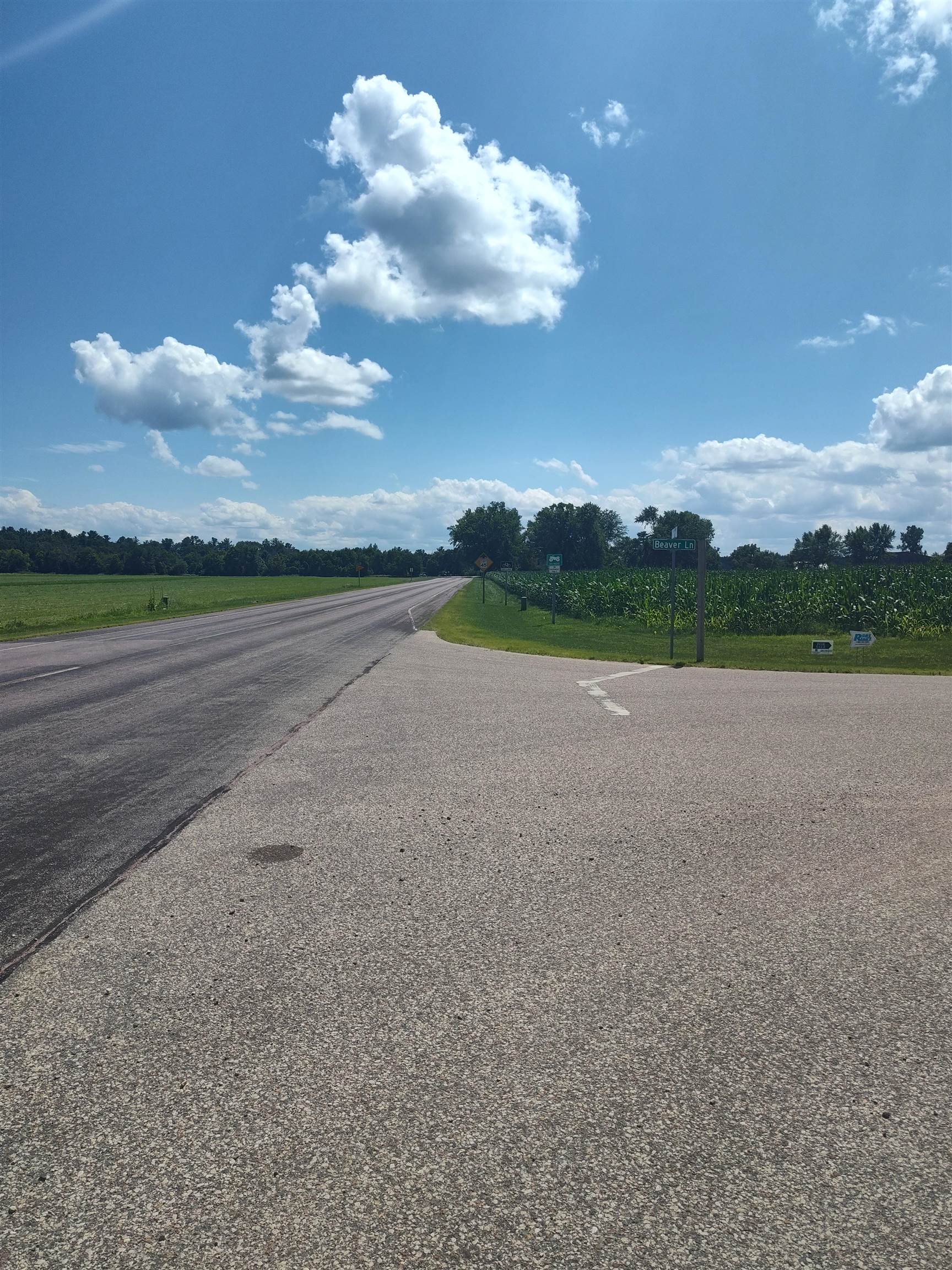 Lot 113 Beaver Arkdale, WI 54613 - Photo 5 of 27