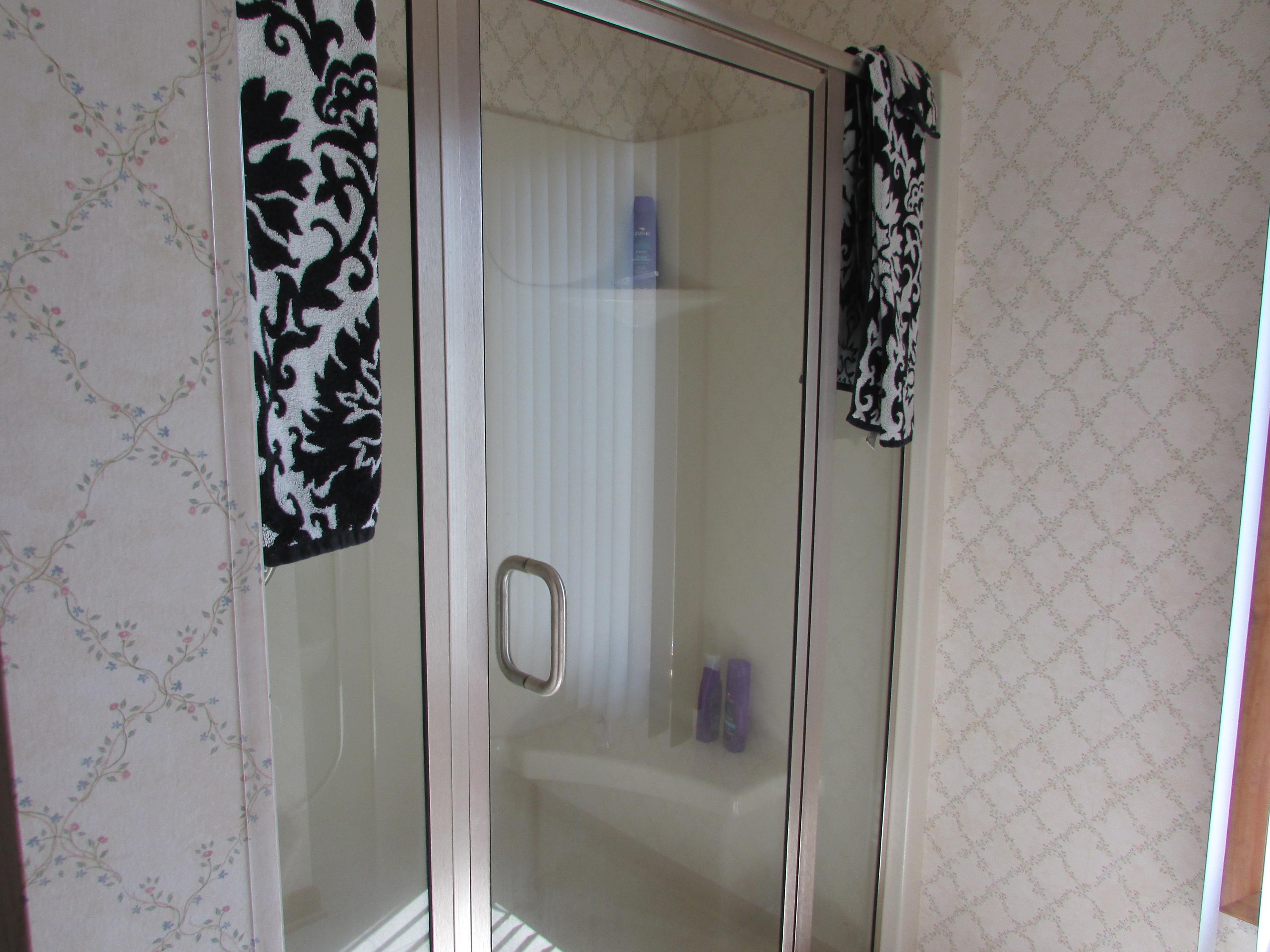 100 Dudley Creek Road Hardy, VA 24101 - Photo 23 of 49 Shower in Master Bath