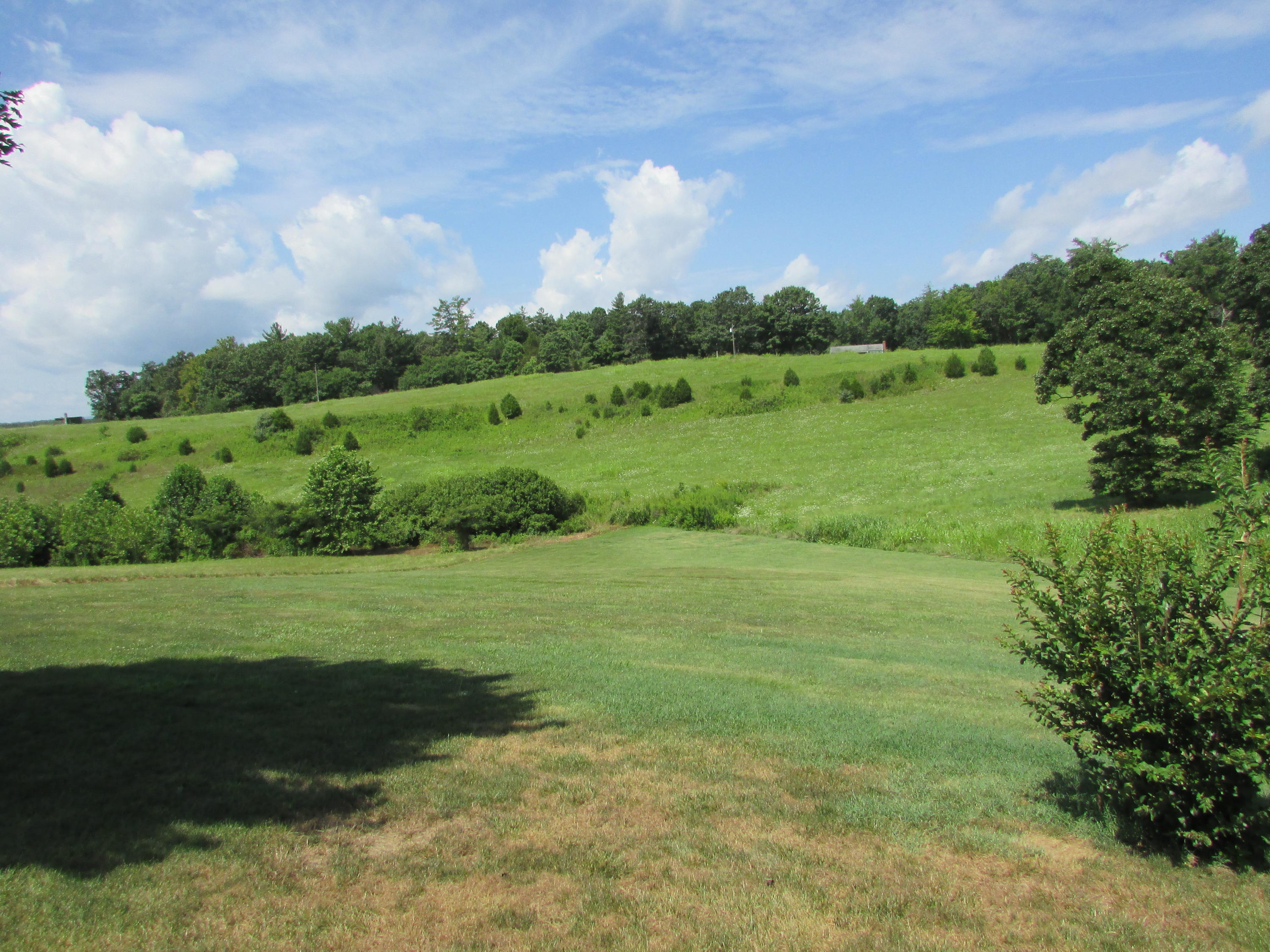 100 Dudley Creek Road Hardy, VA 24101 - Photo 42 of 49 1.4 Acres