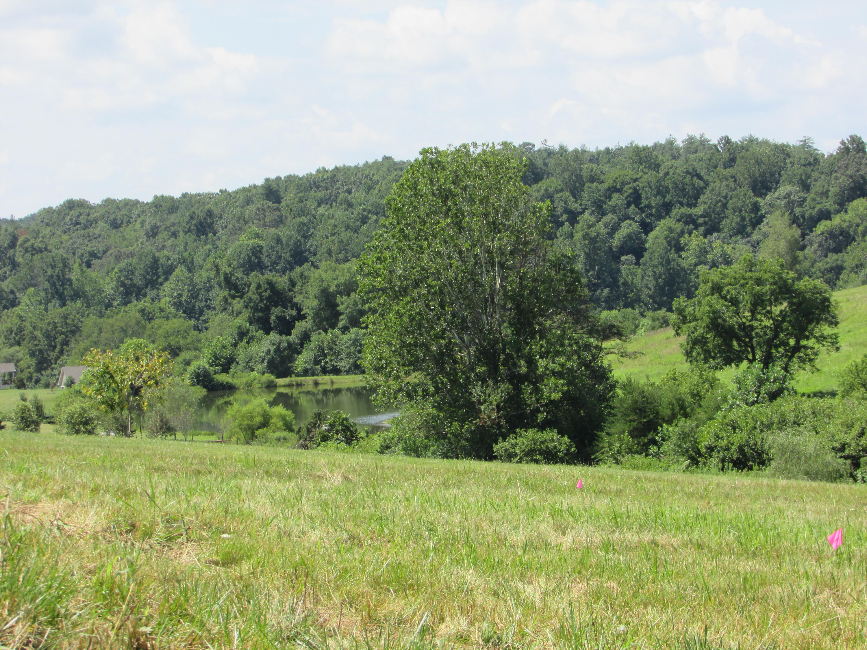 100 Dudley Creek Road Hardy, VA 24101 - Photo 43 of 49 Gorgeous Views