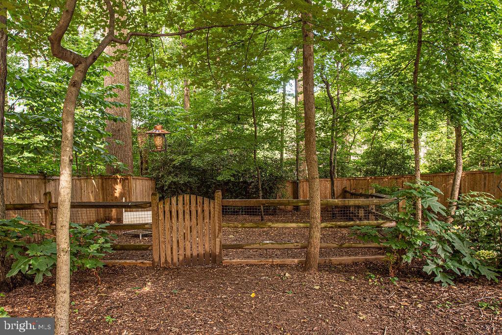 7329 Hooking Road McLean, VA 22101 - Photo 5 of 82