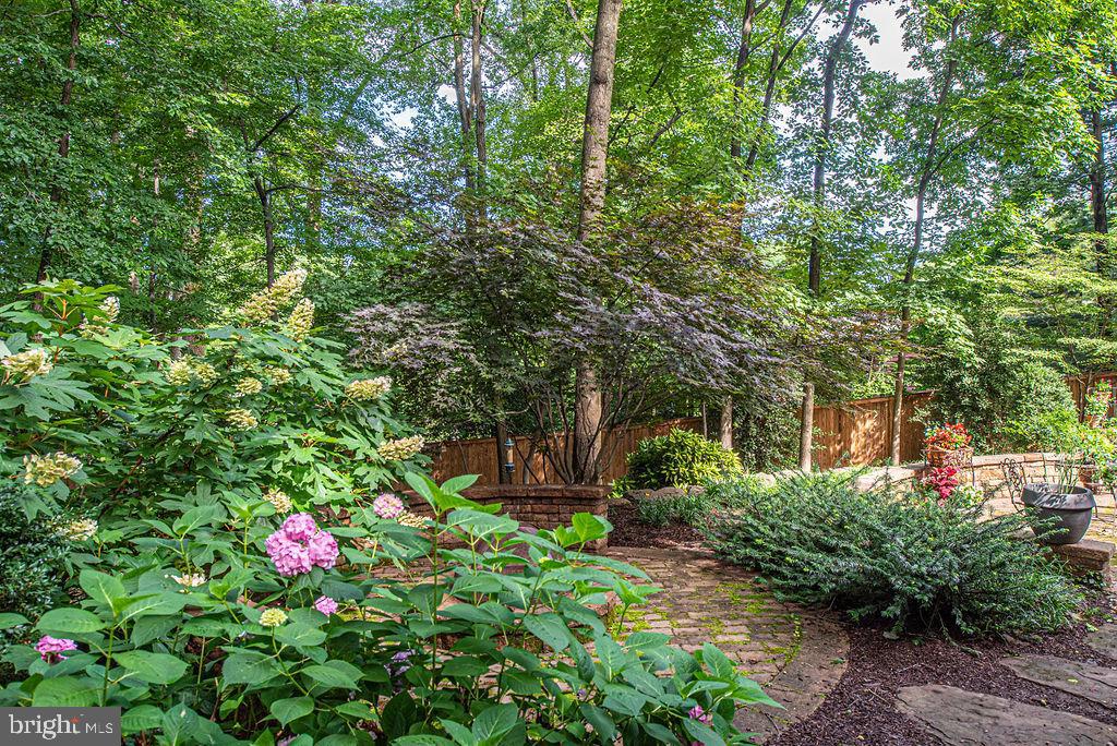 7329 Hooking Road McLean, VA 22101 - Photo 6 of 82