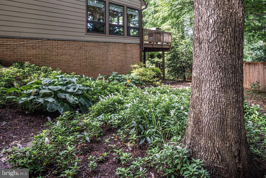 7329 Hooking Road McLean, VA 22101 - Photo 59 of 82