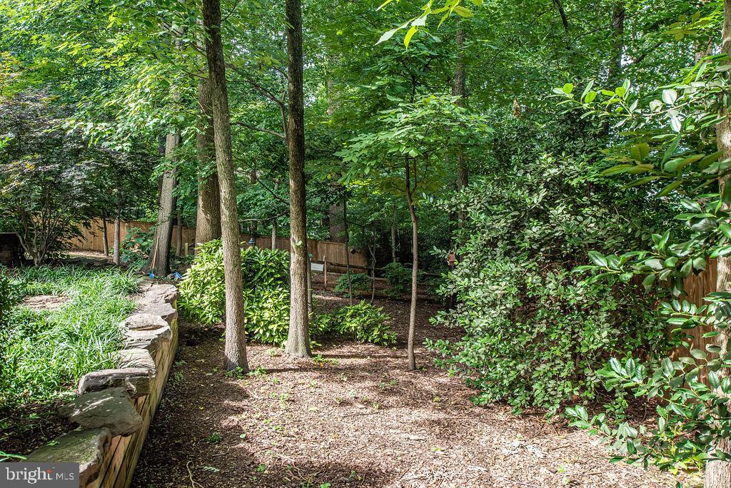 7329 Hooking Road McLean, VA 22101 - Photo 62 of 82