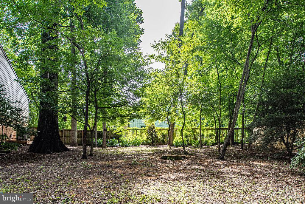 7329 Hooking Road McLean, VA 22101 - Photo 64 of 82