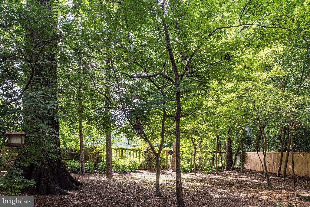 7329 Hooking Road McLean, VA 22101 - Photo 66 of 82