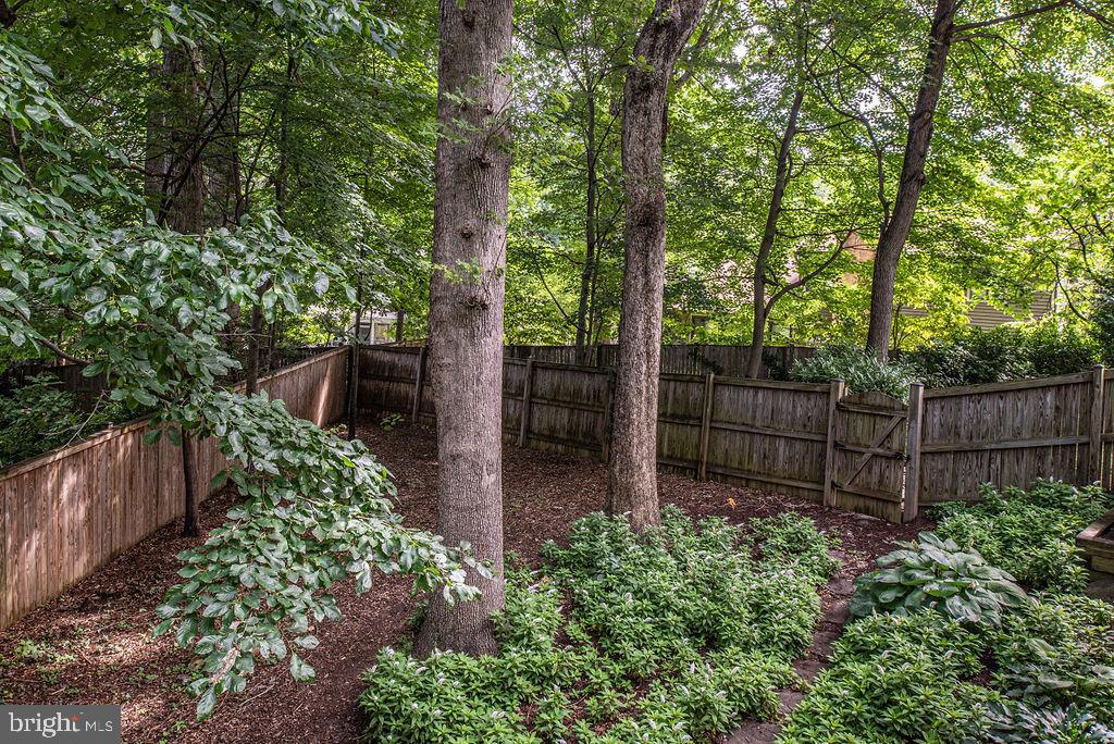 7329 Hooking Road McLean, VA 22101 - Photo 72 of 82