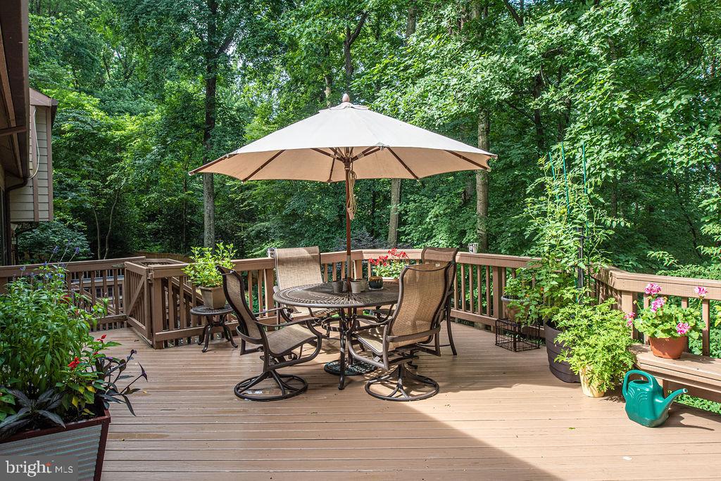 7329 Hooking Road McLean, VA 22101 - Photo 73 of 82