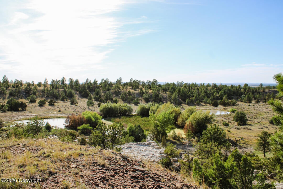 0 Skull Creek Road Osage, WY 82723 - Photo 1 of 51 Gallery Image 1