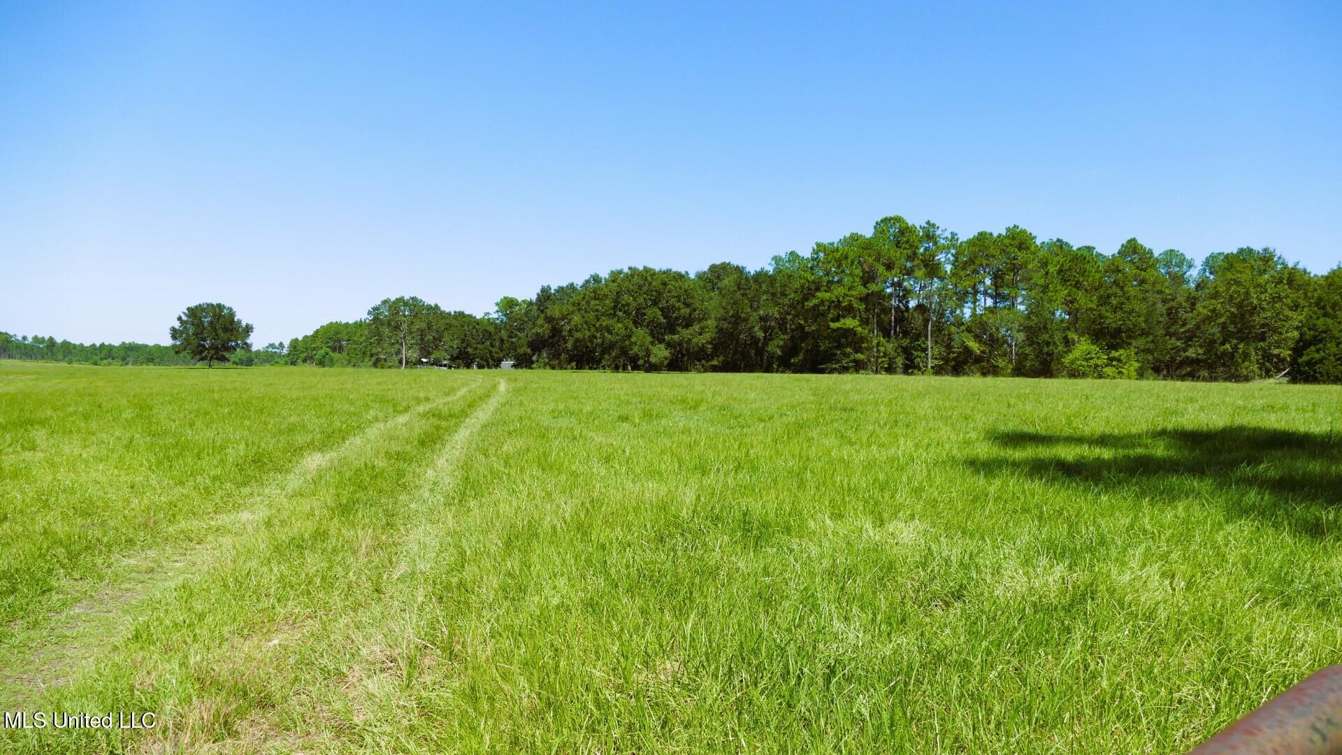 0 Humphrey Road Vancleave, MS 39565 - Photo 14 of 34 HUMPHREY_PICS__10