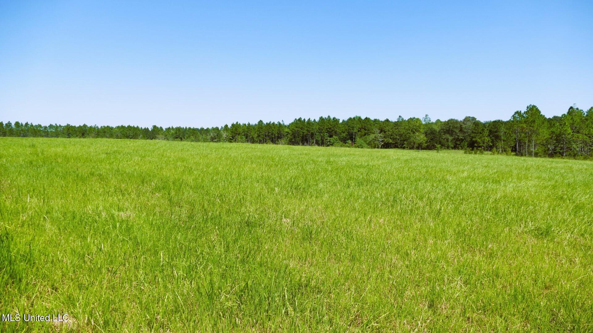 0 Humphrey Road Vancleave, MS 39565 - Photo 6 of 34 HUMPHREY_PICS__4