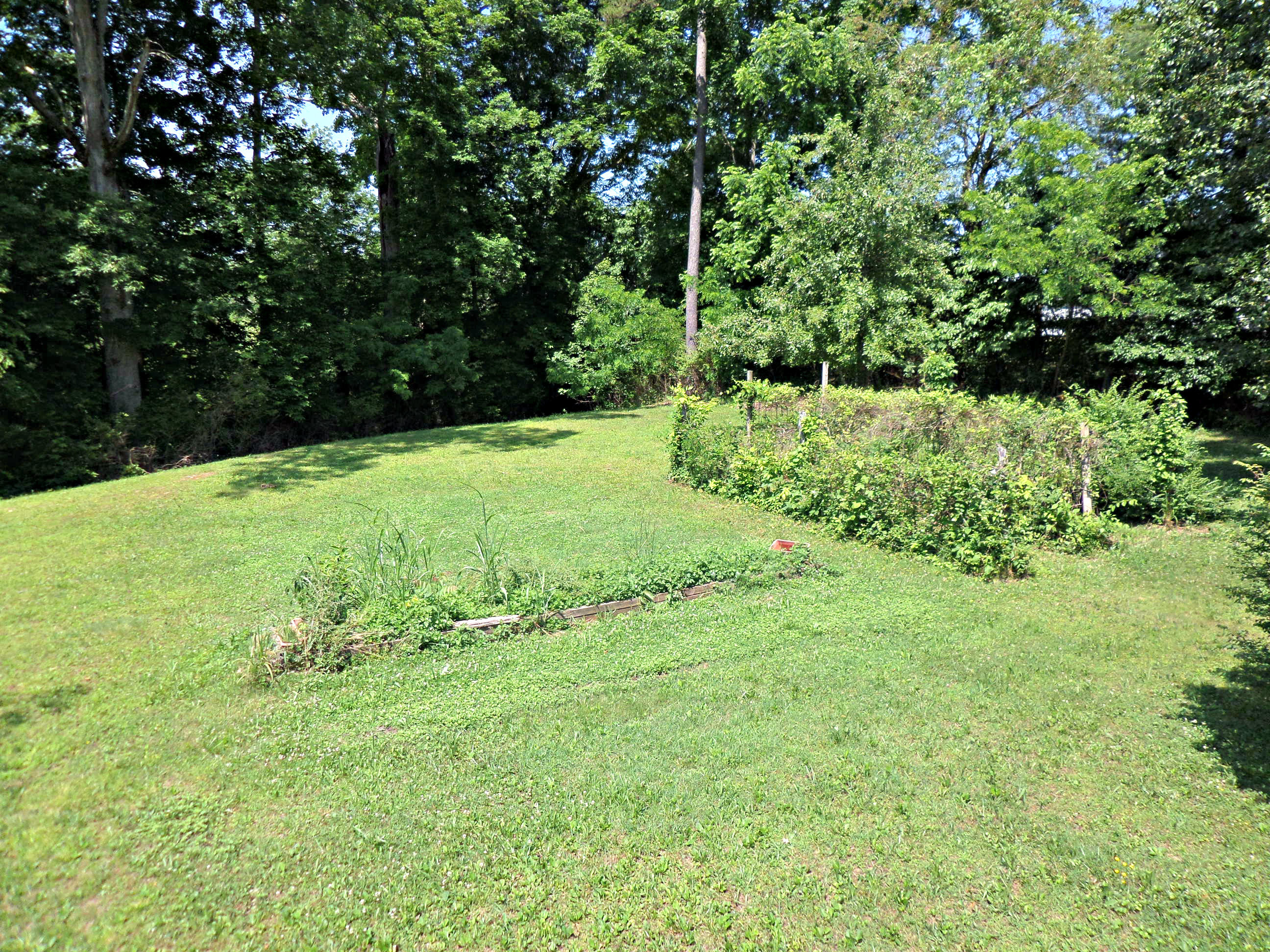 215 Old Batley Road Clinton, TN 37716 - Photo 22 of 38 Side yard with garden