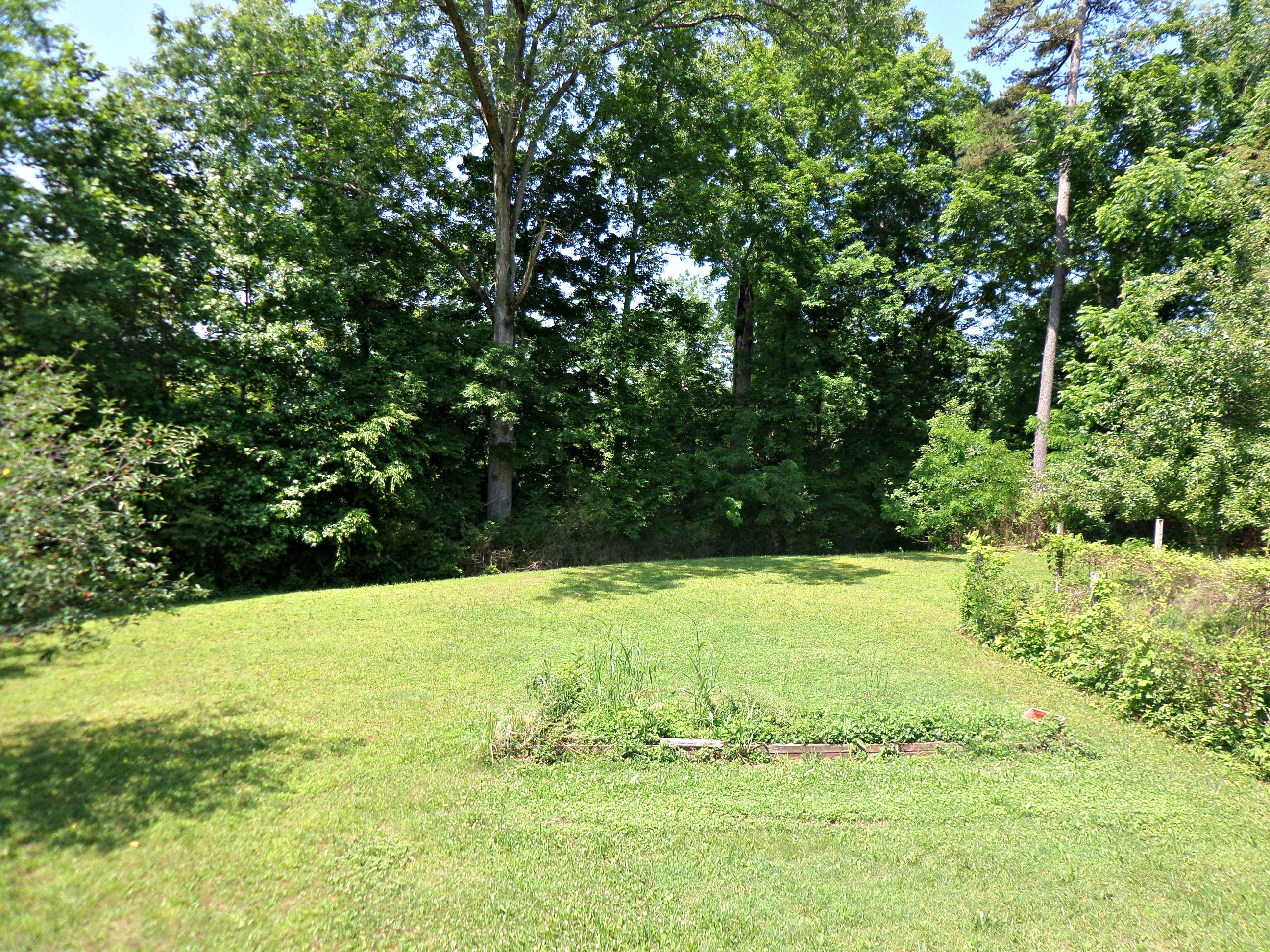 215 Old Batley Road Clinton, TN 37716 - Photo 23 of 38 Side yard