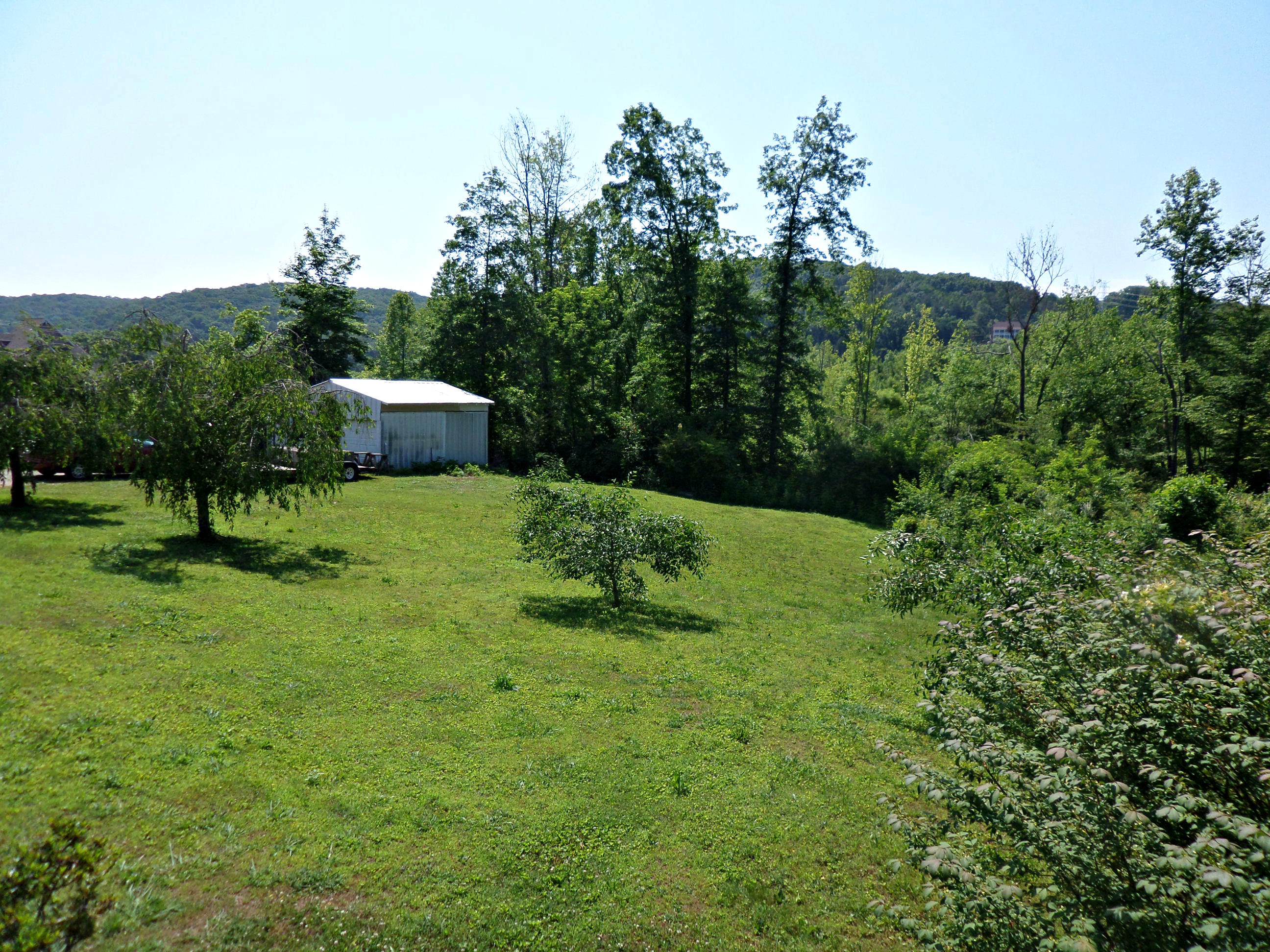 215 Old Batley Road Clinton, TN 37716 - Photo 27 of 38 Front yard