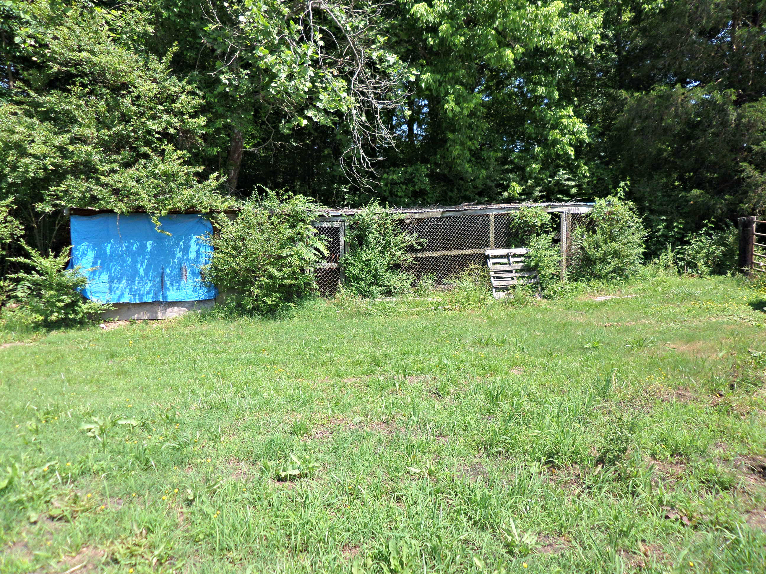 215 Old Batley Road Clinton, TN 37716 - Photo 36 of 38 Chicken Coop