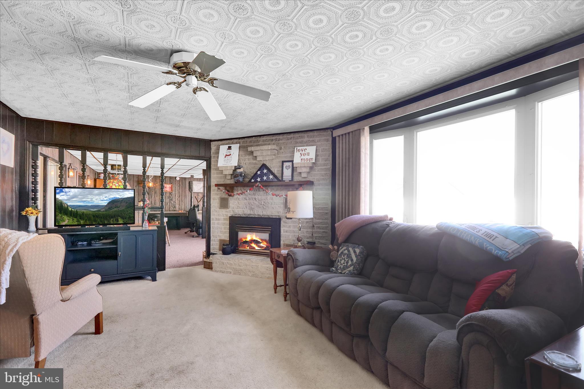 3029 Merritt Parkway Reading, PA 19608 - Photo 24 of 36 a living room with furniture a fireplace and a flat screen tv