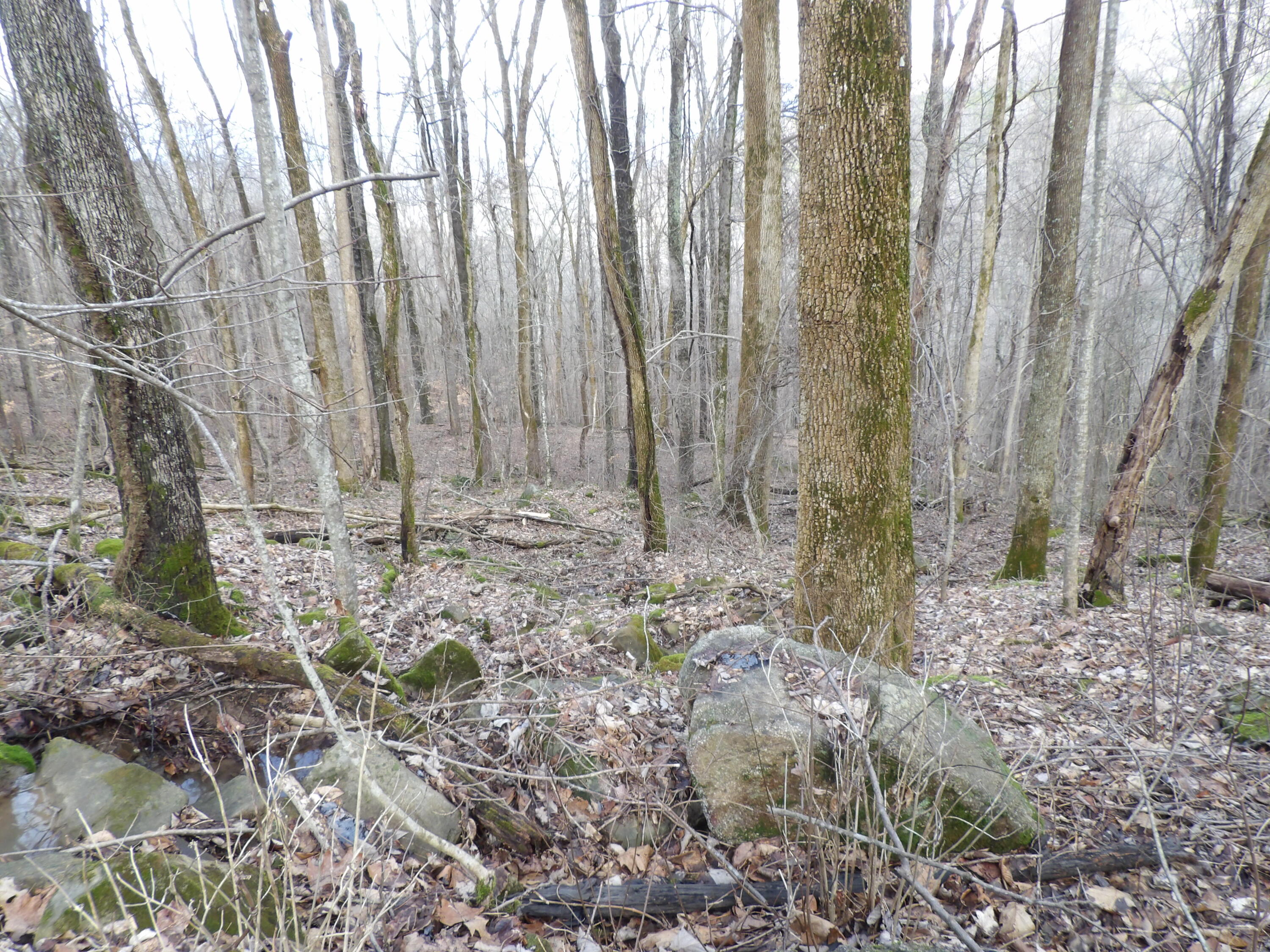 33 Stone Rdg Road, Unit 33 Pikeville, TN 37367 - Photo 14 of 24 100_5135
