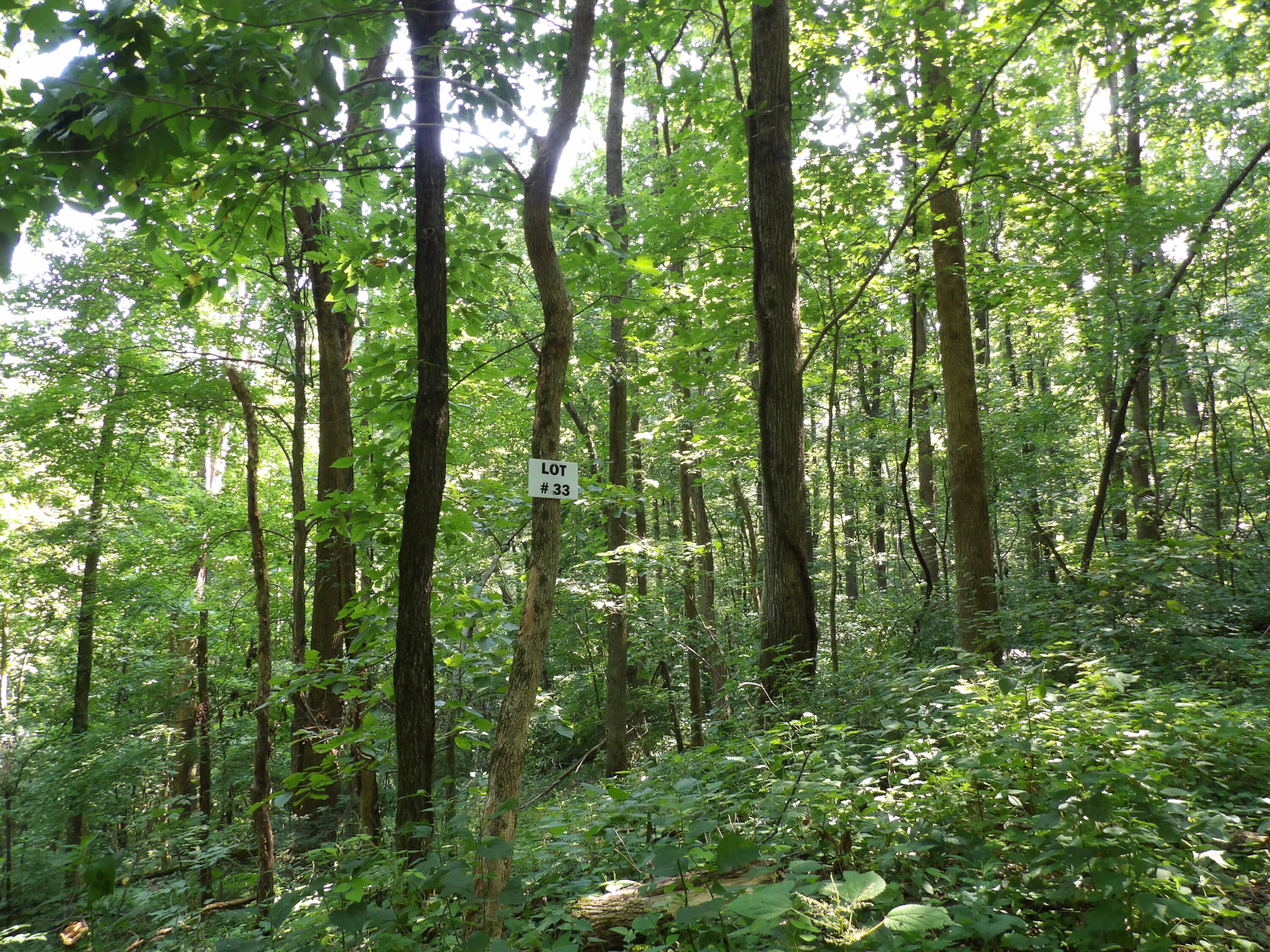 33 Stone Rdg Road, Unit 33 Pikeville, TN 37367 - Photo 2 of 24 100_5752