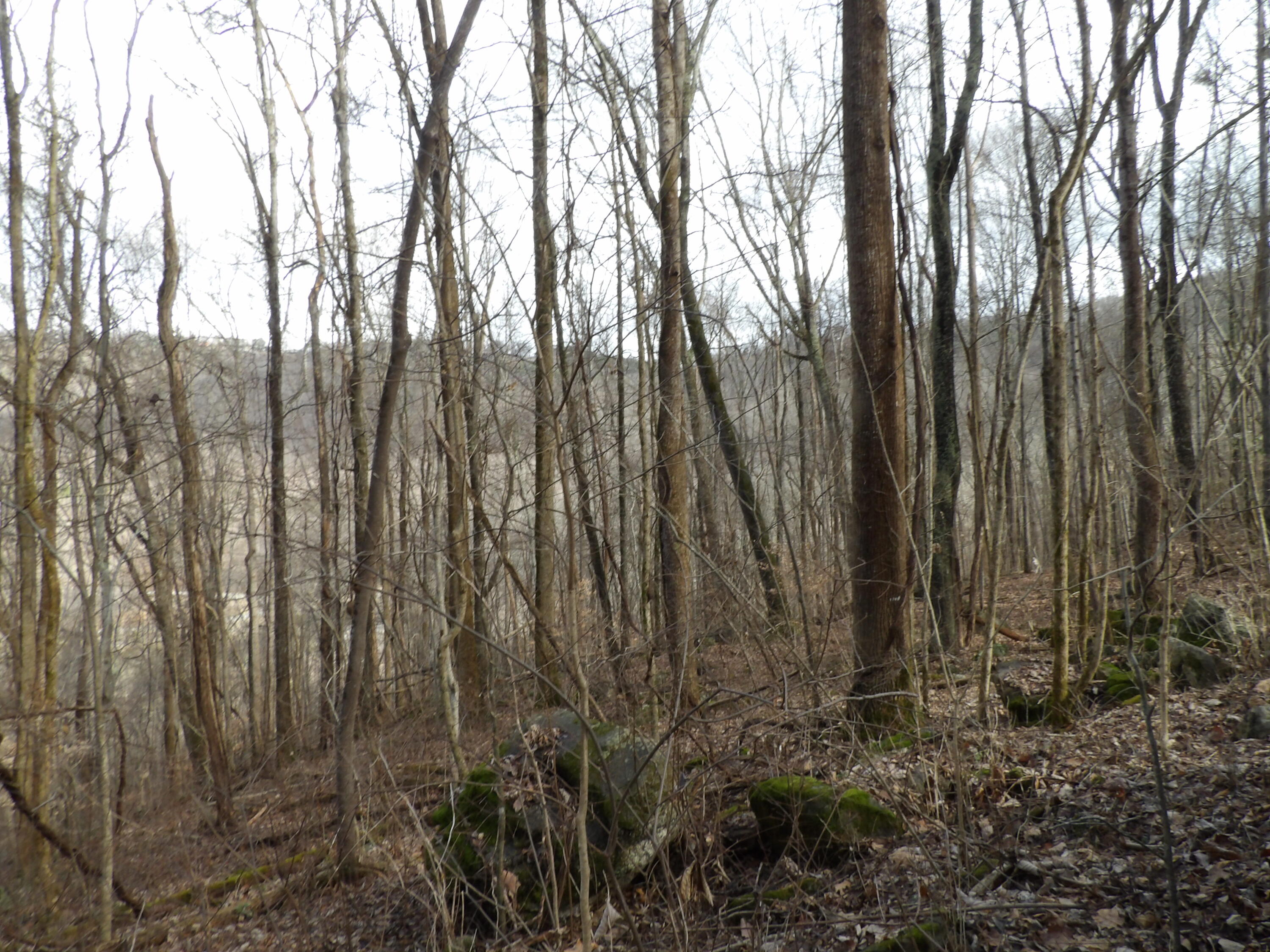 33 Stone Rdg Road, Unit 33 Pikeville, TN 37367 - Photo 21 of 24 100_5144
