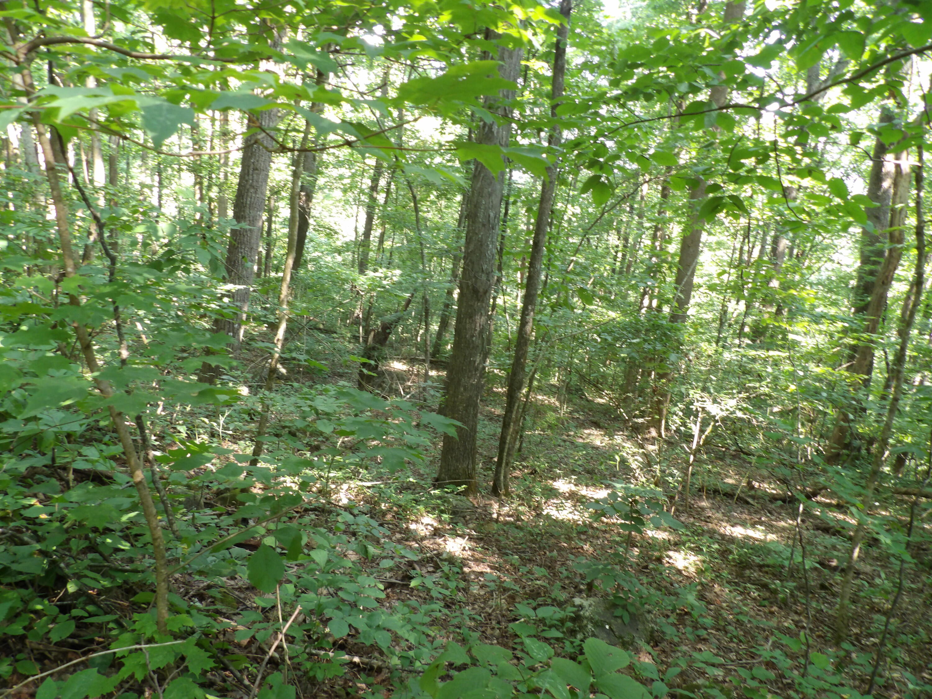 33 Stone Rdg Road, Unit 33 Pikeville, TN 37367 - Photo 6 of 24 100_5756