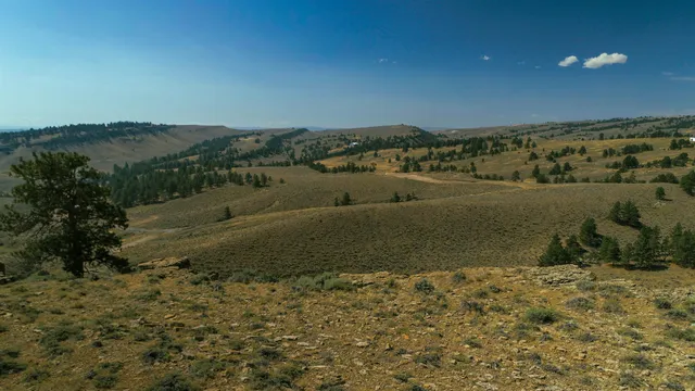 $197,500 | Pm5-9-10 Baby Dog Road, Natrona, WY 82646