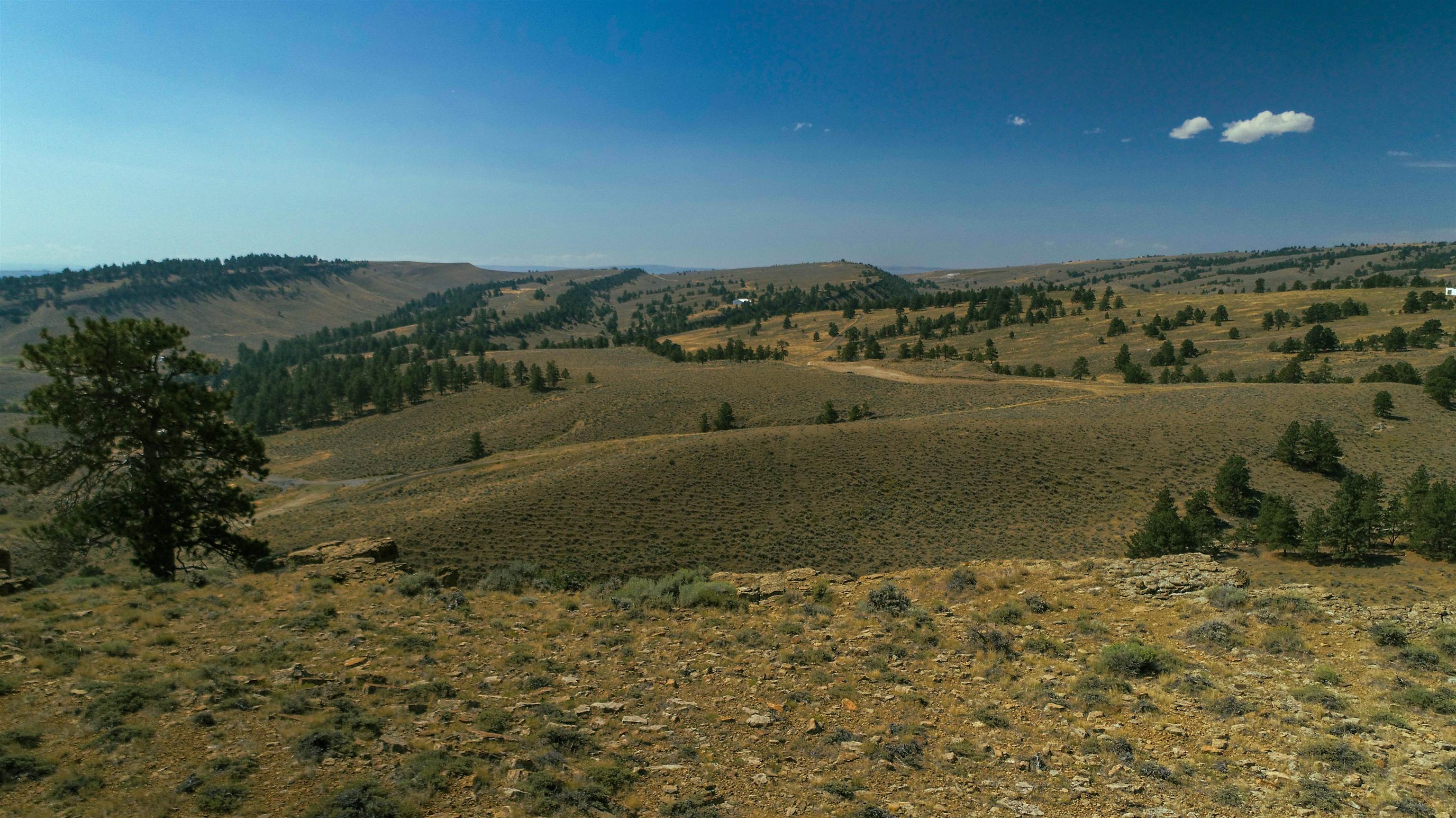 Pm5-9-10 Baby Dog Road Natrona, WY 82646 - Photo 3 of 13
