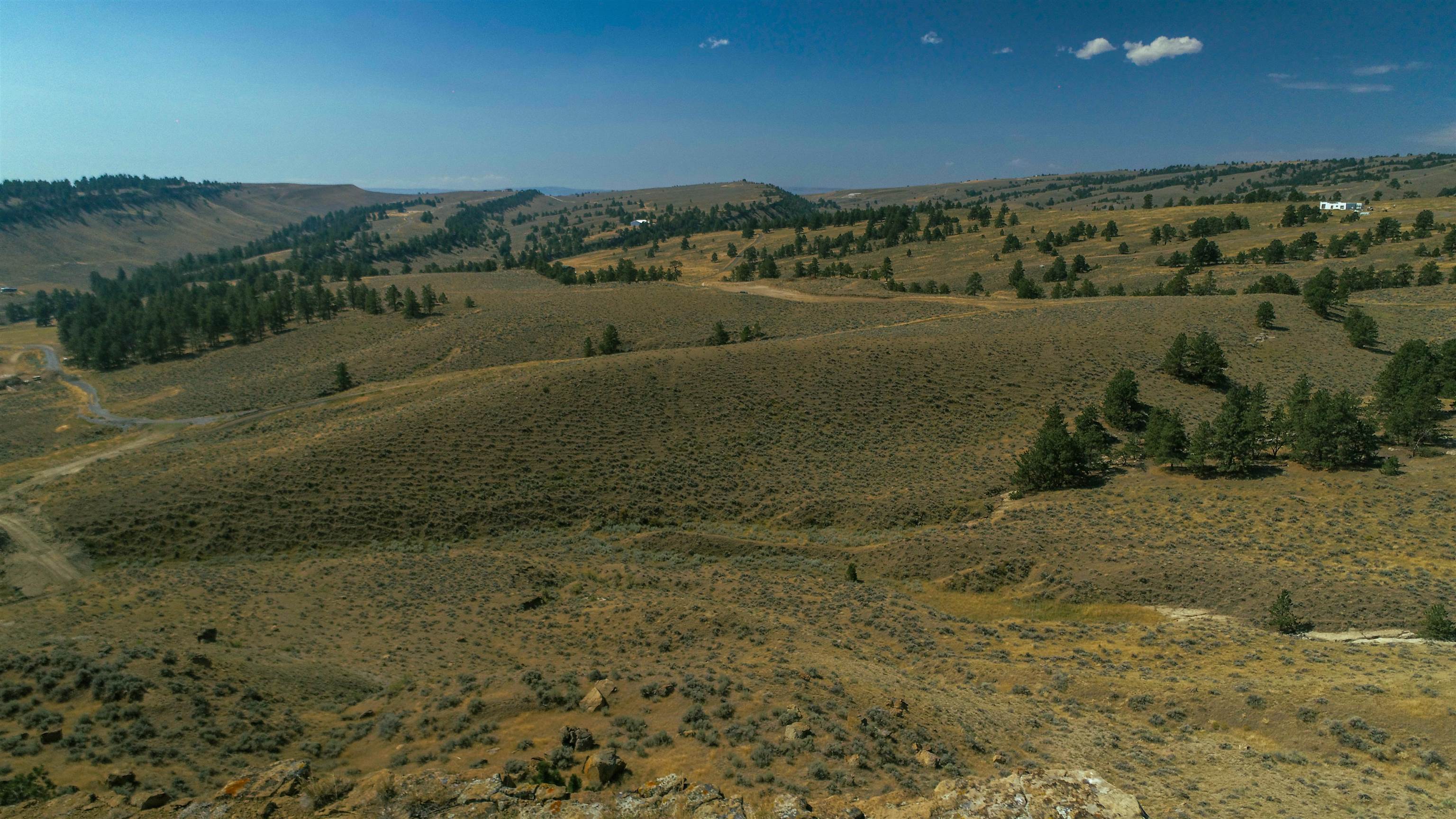 Pm5-9-10 Baby Dog Road Natrona, WY 82646 - Photo 4 of 13