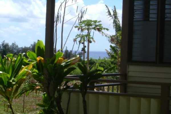 5001 Yamanoha Road Kapaa, HI 96746 - Photo 5 of 9 a vase of flowers sitting on a table in front of a door