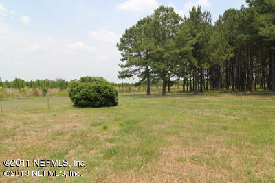 8616 Plummer Road Jacksonville, FL 32219 - Photo 8 of 9 plummer tree farm2