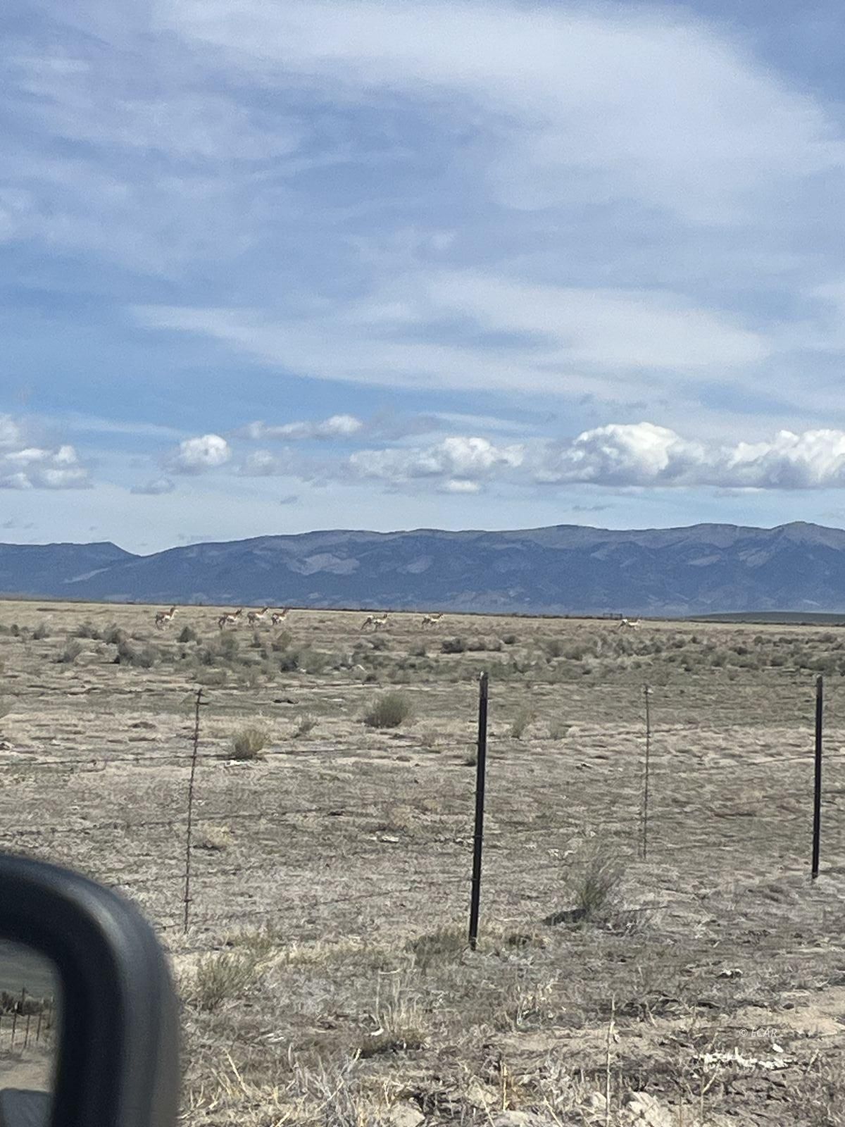No Name Wells Wells, NV 89835 - Photo 2 of 6