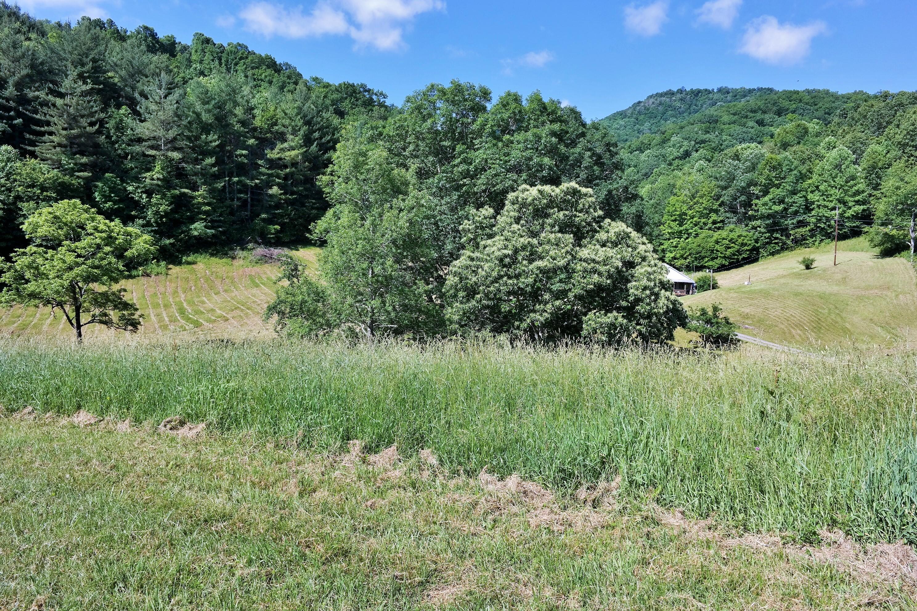 3678 Snake Run Road Alderson, WV 24910 - Photo 99 of 124 Gallery Image 99