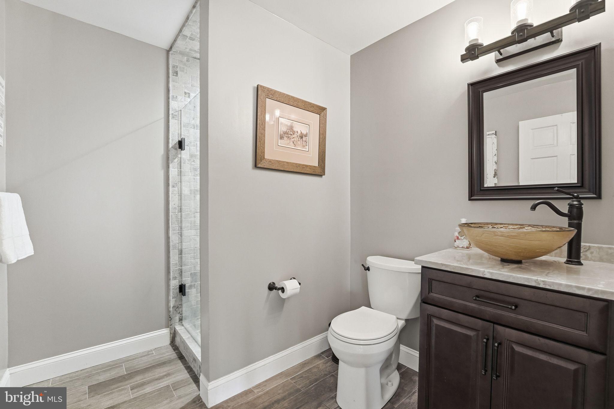 7724 Cannonball Gate Road Warrenton, VA 20186 - Photo 66 of 98 Lower Level Bathroom