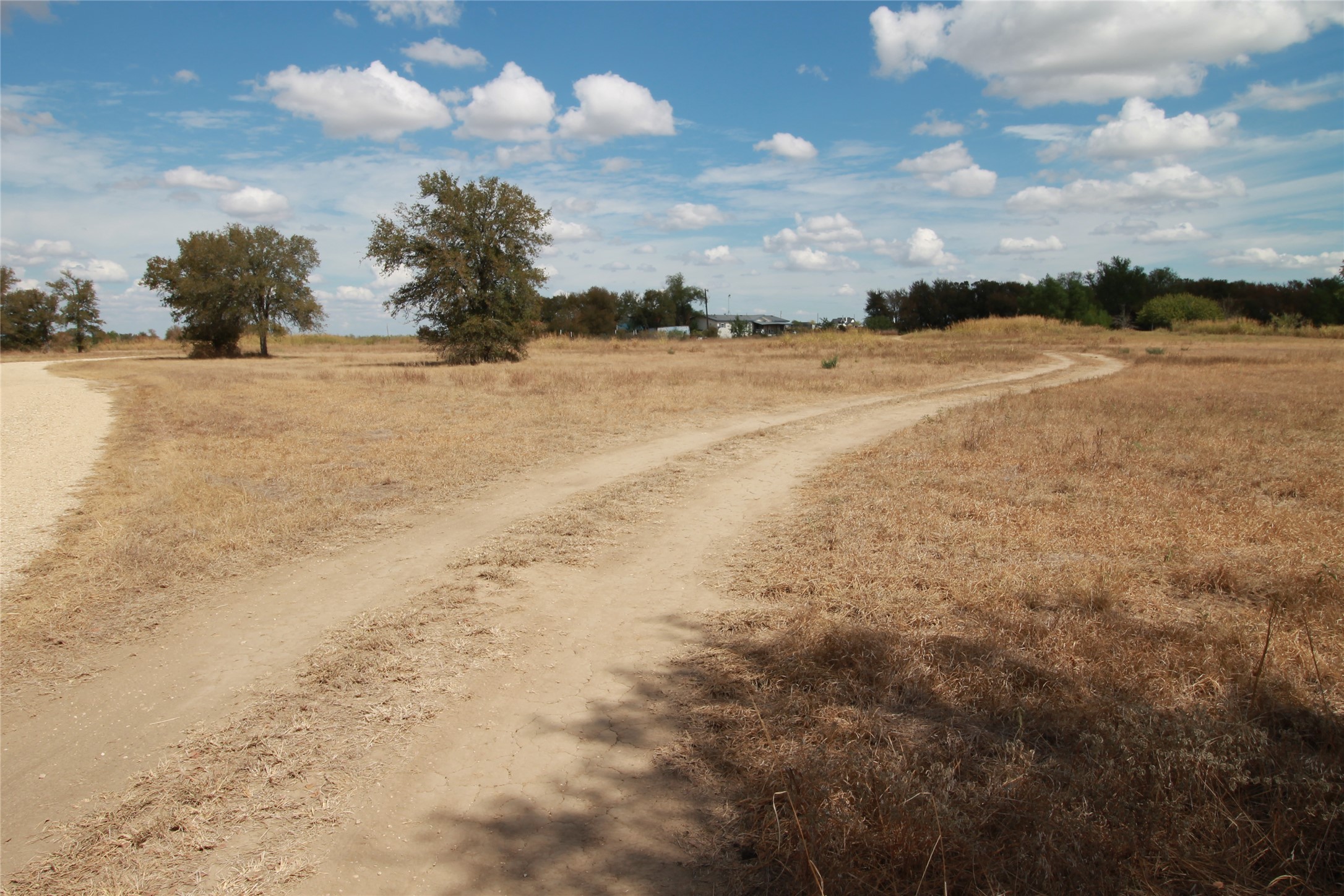 1875 County Road 466 Elgin, TX 78621 - Photo 8 of 11