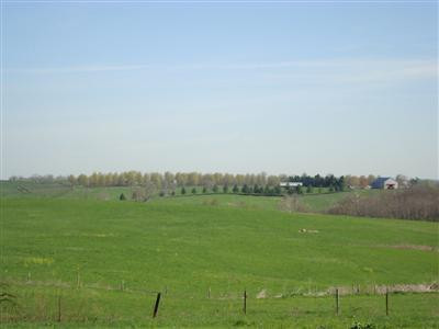 375 Stoney Point Road Paris, KY 40361 - Photo 9 of 25 Photo 9