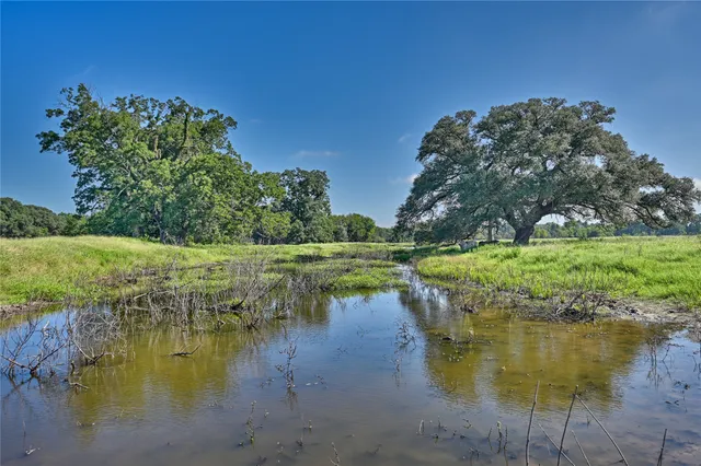 a view of park with large trees