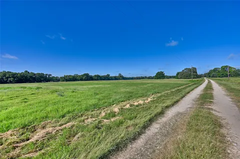 a view of a garden with a building in the background