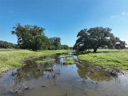 a view of a lake with a yard and a large tree