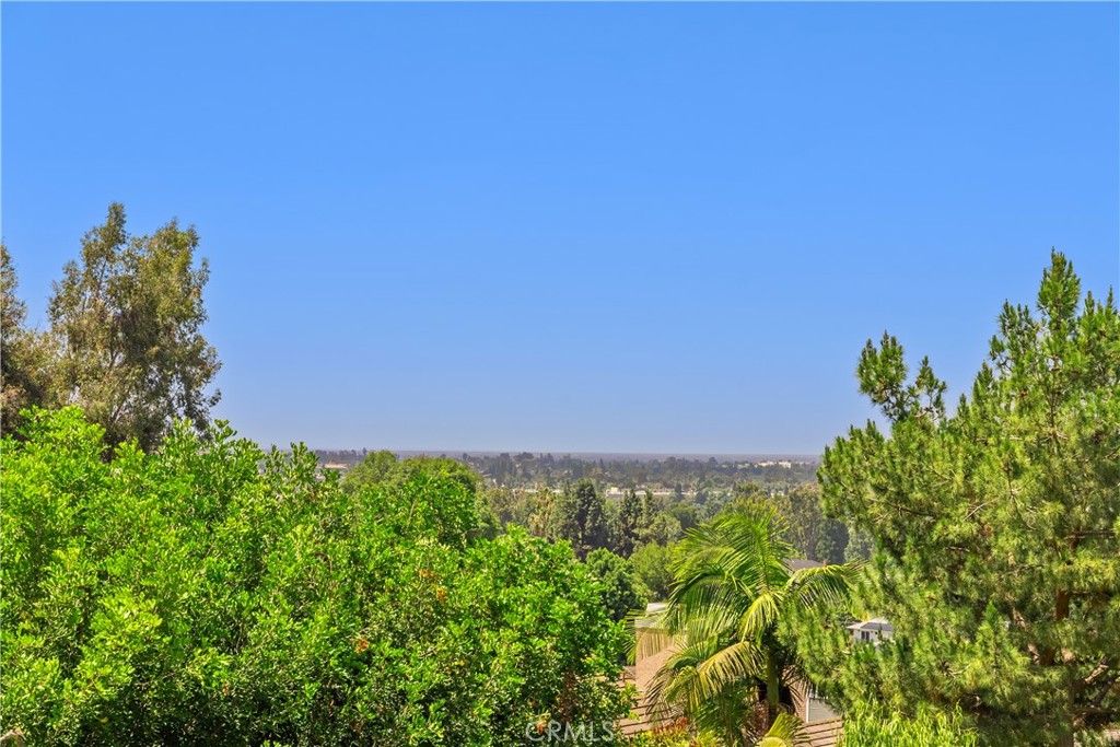 948 Malibu Canyon Road Brea, CA 92821 - Photo 41 of 50