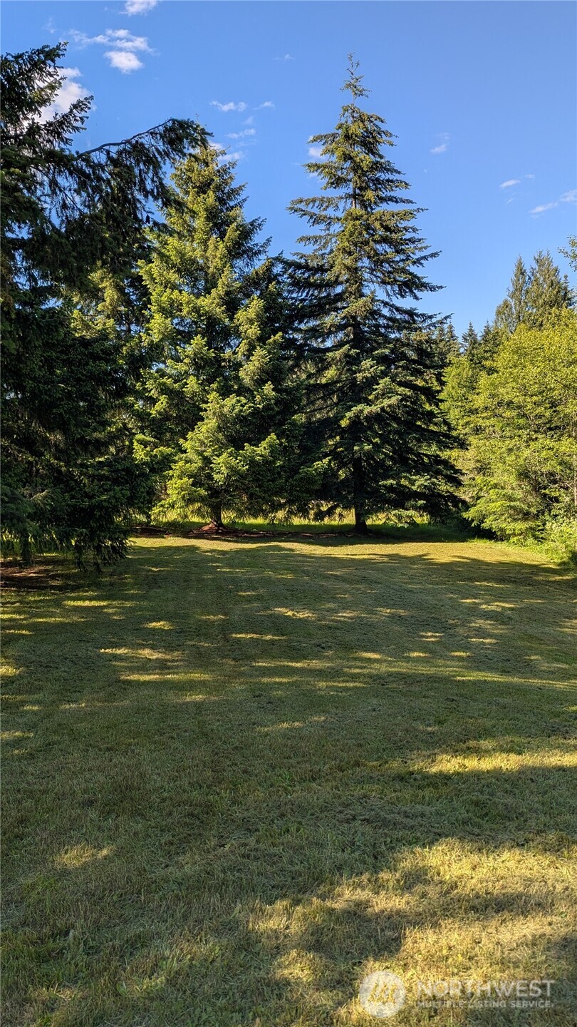104 Sun Valley Drive Chehalis, WA 98532 - Photo 18 of 20