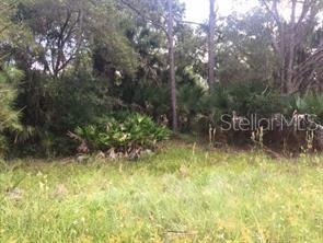 278 South Fitzpatrick Avenue Inverness, FL 34453 - Photo 1 of 1 Gallery Image 1