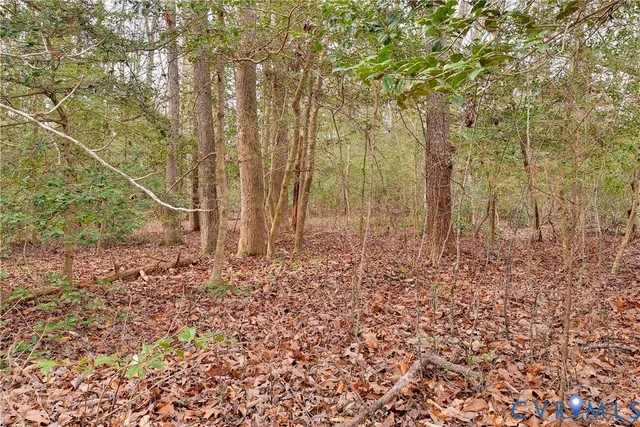 $11,000 | Lot B Lonesome Pne Trail, Lancaster, VA 22503